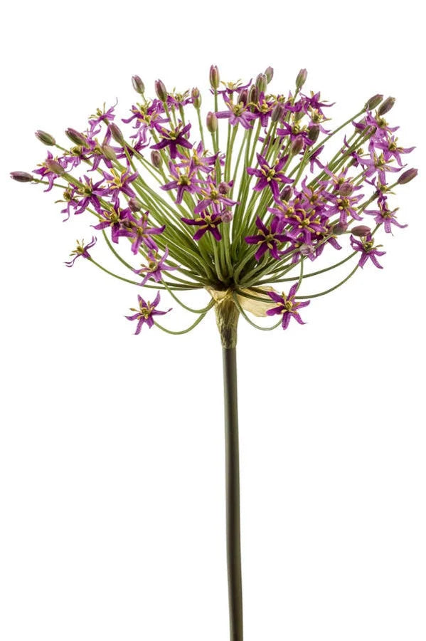 Kunstbloem Allium (sierui) tak 90 cm donker paars