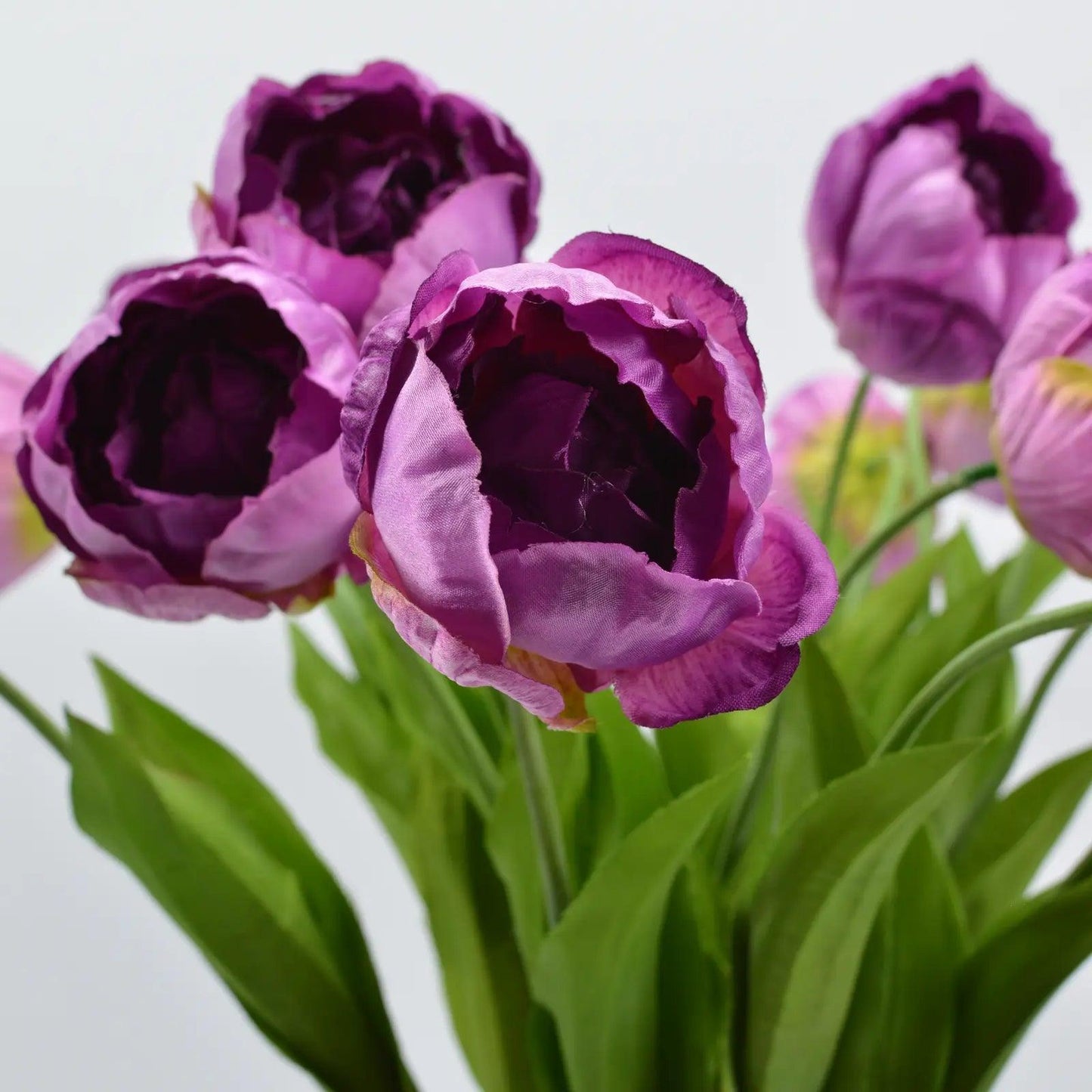 Bos 15 Paarse Kunst Tulpen - Blommo