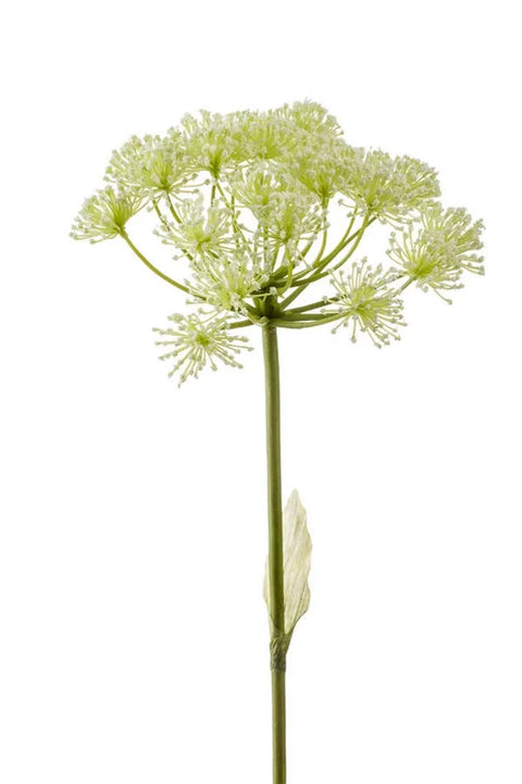 Kunstbloem Berenklauw 78 cm wit losse tak